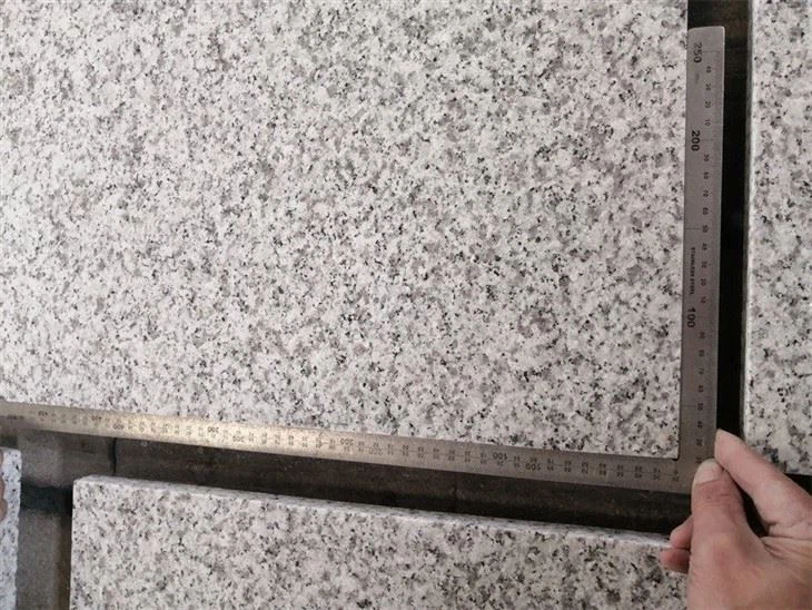 Light Gray Pavers