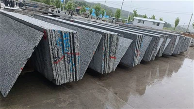 Granito de plataforma de cozinha