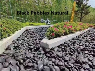 Seixos naturais de jardim
